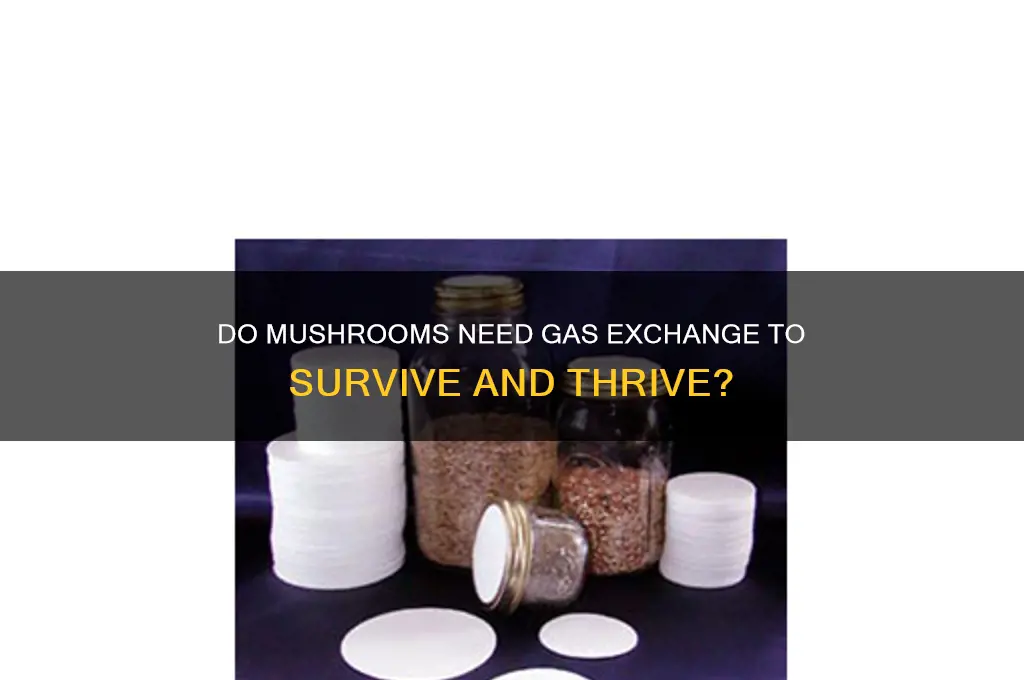 is gas exchange necessary for mushrooms