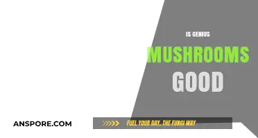 Exploring Genius Mushrooms: Benefits, Risks, and Health Claims Unveiled