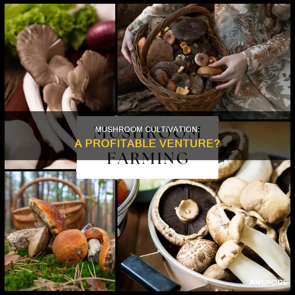 is ggrowing mushrooms profitable