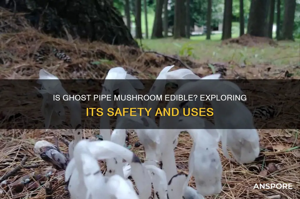 is ghost pipe mushroom edible