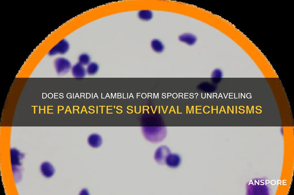 is giardia lamblia spore forming