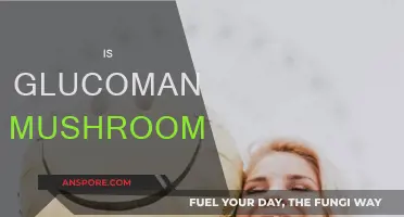 Glucomannan Mushroom: Weight Loss Superfood?