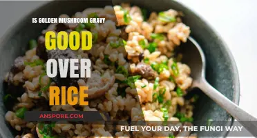 Golden Mushroom Gravy Over Rice: A Flavorful Culinary Adventure