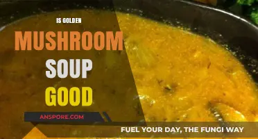 Is Golden Mushroom Soup Good? A Tasty Review and Benefits