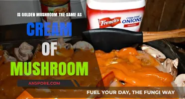 Golden Mushroom vs. Cream of Mushroom: Unraveling the Soup Aisle Mystery