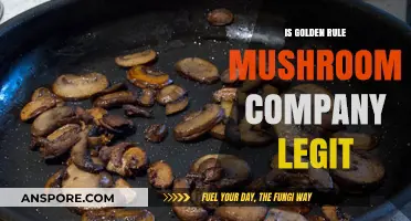 Is Golden Rule Mushroom Company Legit? Uncovering the Truth