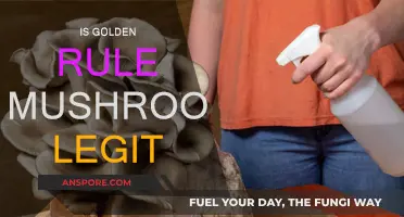 Golden Rule Mushrooms: Legit or Scam?