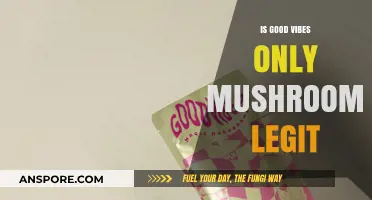 Good Vibes Only Mushrooms: Legit or Just a Fad?