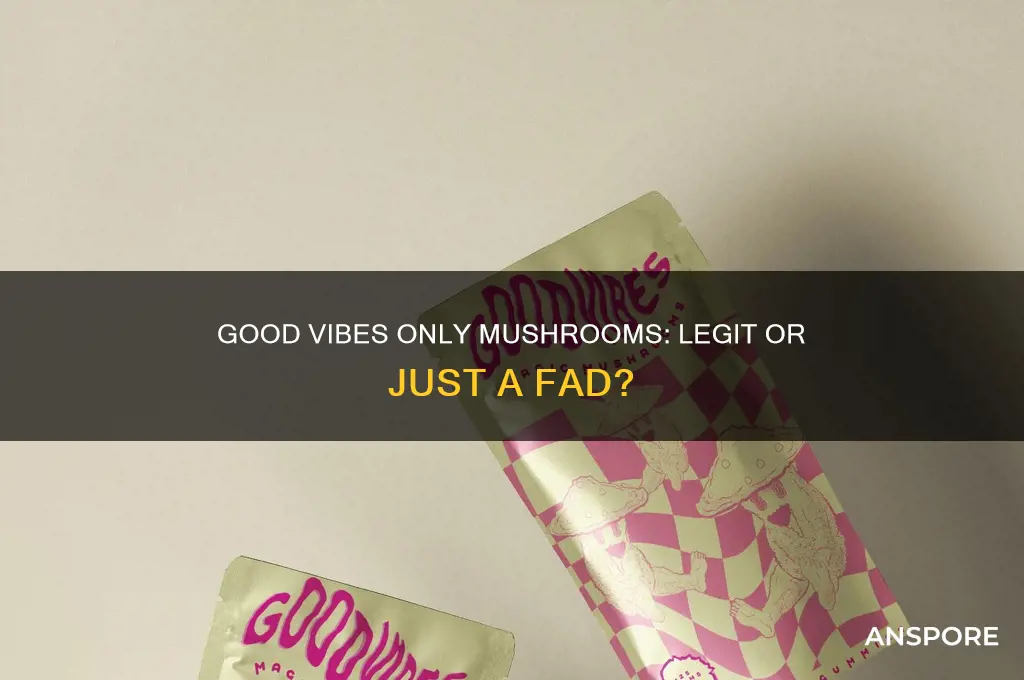 is good vibes only mushrooms legit
