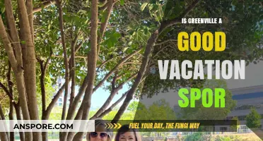 Greenville Vacation Guide: Exploring the Charm of This Southern Gem