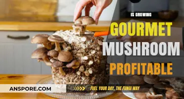 Is Growing Gourmet Mushrooms a Profitable Business Venture?