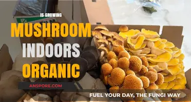 Is Indoor Mushroom Cultivation Truly Organic? Exploring the Facts