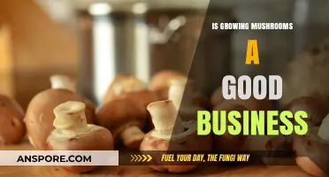 Is Growing Mushrooms a Profitable Business Venture for Entrepreneurs?