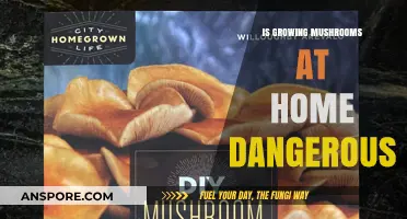 Is Growing Mushrooms at Home Safe or Risky?