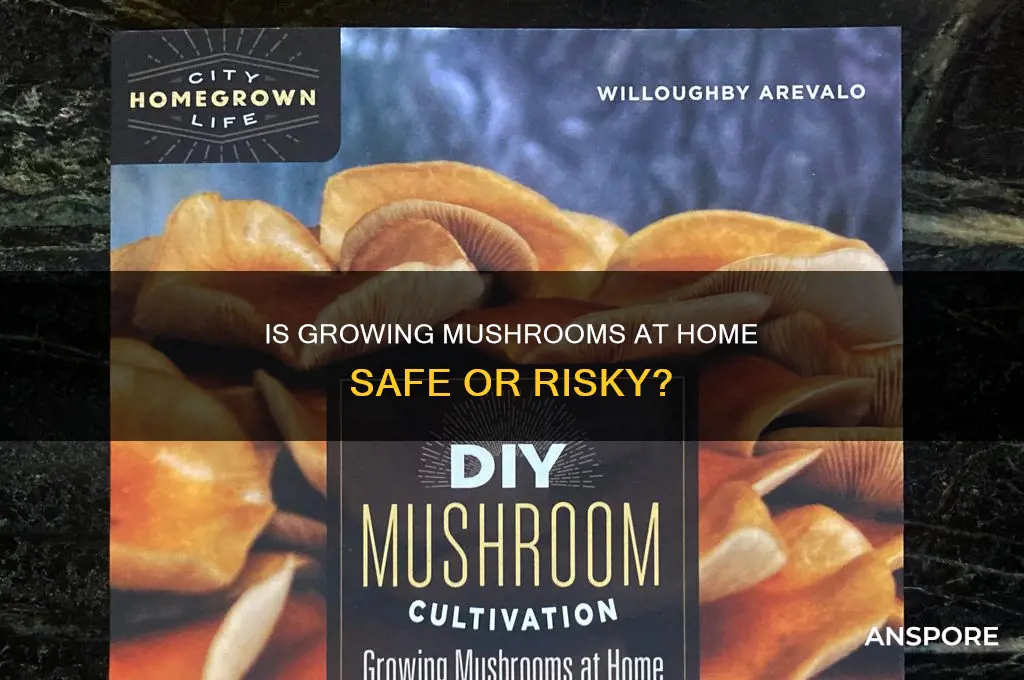 is growing mushrooms at home dangerous