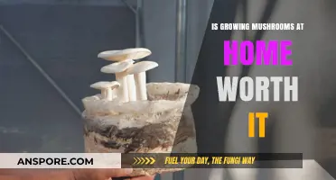 Is Home Mushroom Cultivation Worth the Effort and Investment?