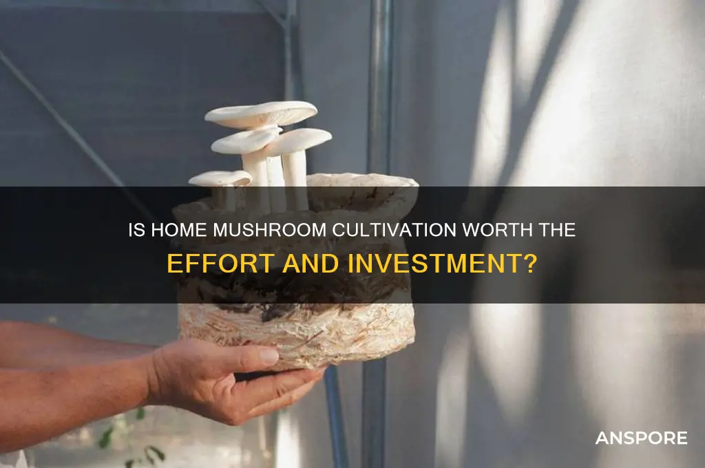 is growing mushrooms at home worth it
