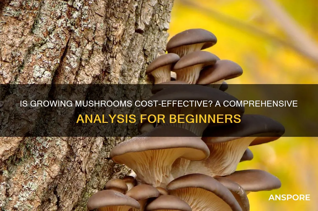 is growing mushrooms cost effective
