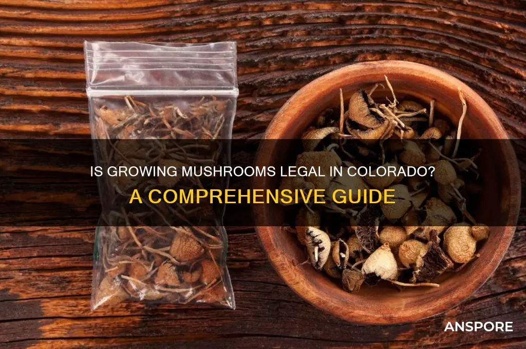 is growing mushrooms legal in colorado