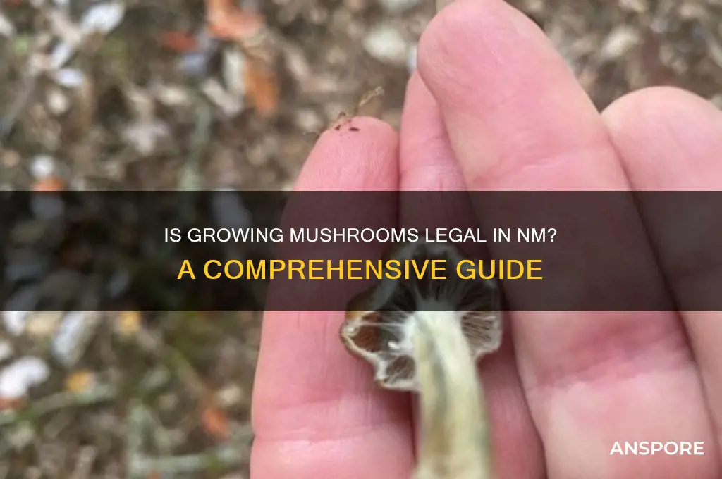 is growing mushrooms legal in nm