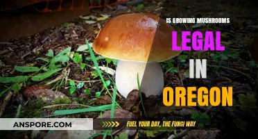 Is Growing Mushrooms Legal in Oregon? A Comprehensive Guide