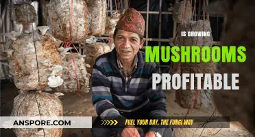 Is Growing Mushrooms Profitable? Exploring the Lucrative Potential of Fungiculture