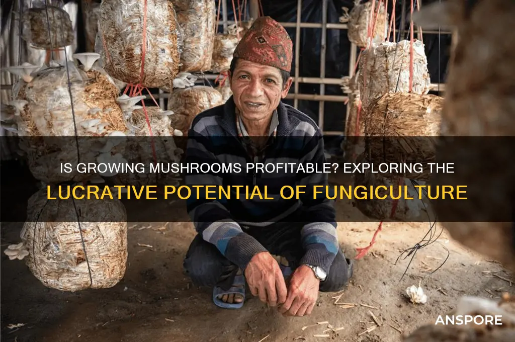 is growing mushrooms profitable