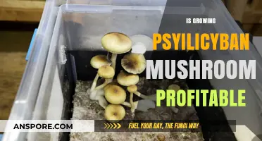 Is Growing Psilocybin Mushrooms Profitable? A Comprehensive Analysis