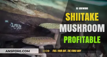 Profitable Shiitake Farming: Unlocking Lucrative Opportunities in Mushroom Cultivation