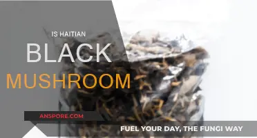 Black Gold: Haitian Black Mushrooms' Secrets