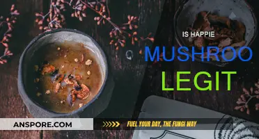 Happie Mushrooms: Legit or a Scam?