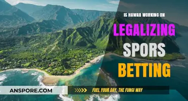 Hawaii's Sports Betting Legalization: Current Efforts and Potential Timeline