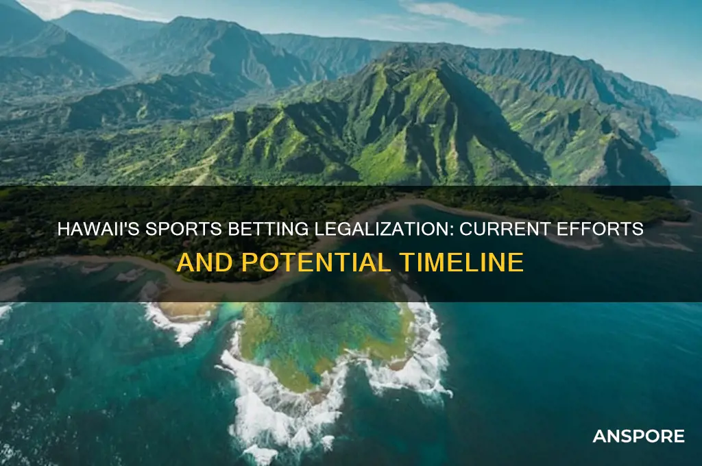 is hawaii working on legalizing spors betting