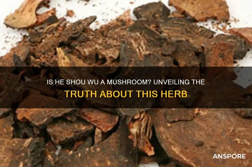 is he shou wu a mushroom