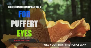 Hoelen Mushroom Extract: Effective Remedy for Puffy Eyes or Myth?