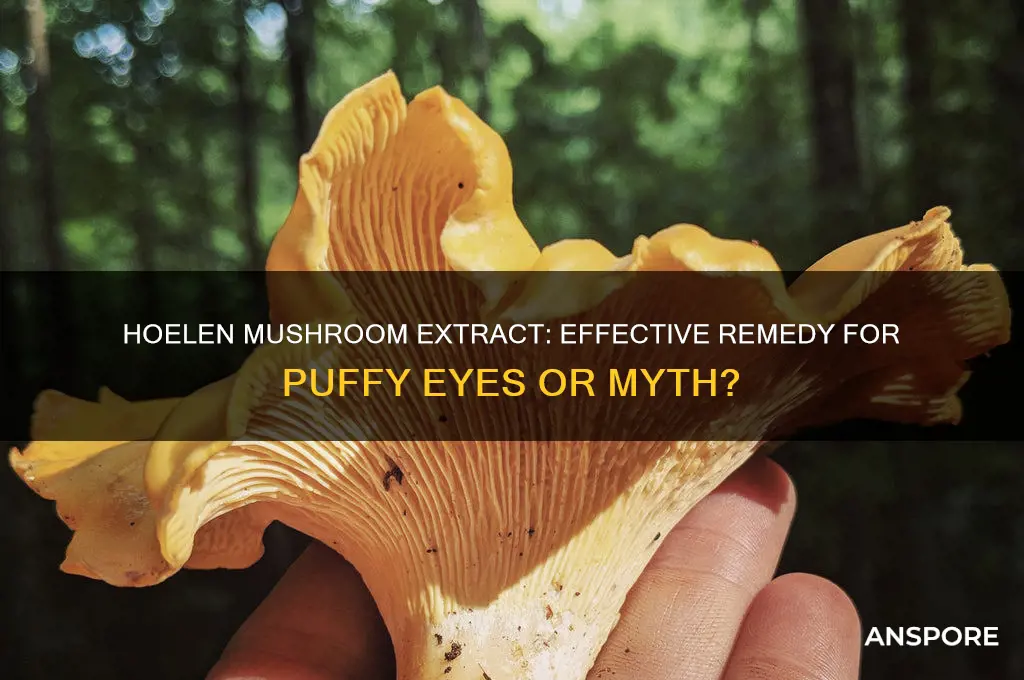 is hoelen mushroom extract good for puffery eyes