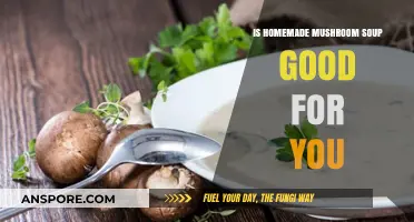 Nutritious Homemade Mushroom Soup: Health Benefits and Delicious Recipe Ideas