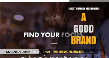 Host Defense Mushrooms Review: Quality, Benefits, and Brand Reputation Explored