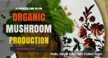 Hydrated Lime in Organic Mushroom Farming: Safe or Not?