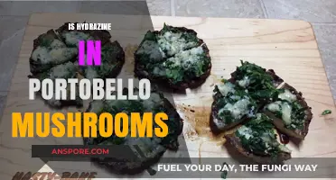 Hydrazine in Portobello Mushrooms: Fact or Fiction? Unveiling the Truth