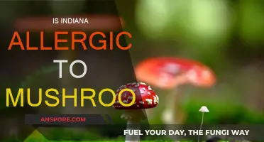 Indiana's Mushroom Allergy Mystery: What's the Cause?