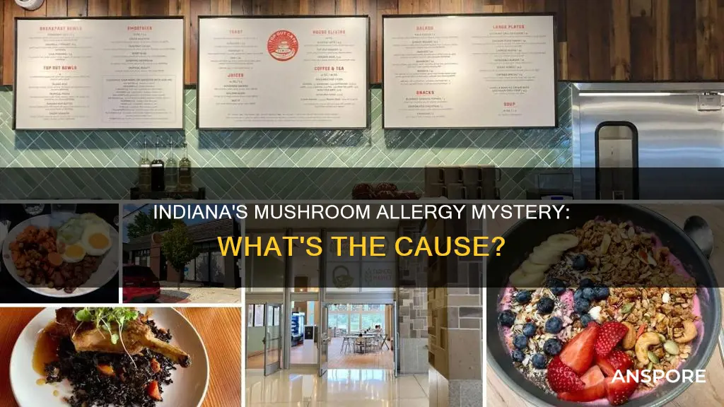 is indiana allergic to mushrooms