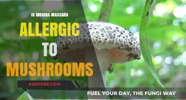 Indiana Massara's Mushroom Allergy: Fact or Fiction? Unveiling the Truth