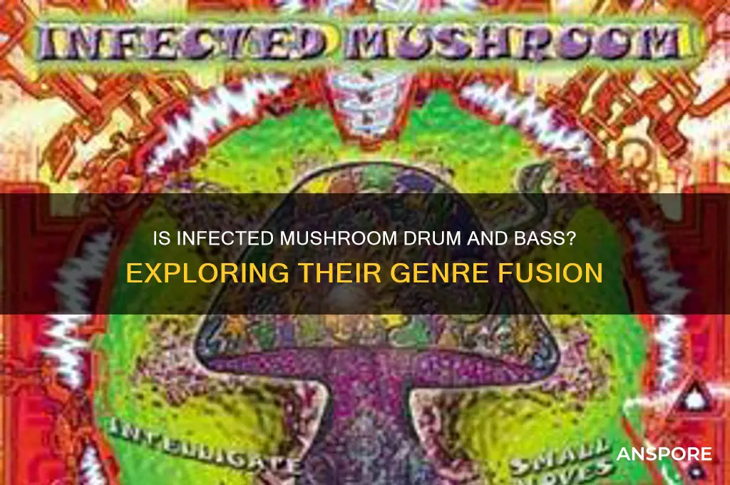 is infected mushroom drum and bass