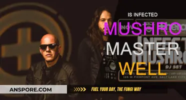 Infected Mushroom: Mastering Artistry or Messy Mush?
