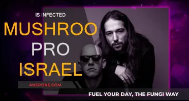 Infected Mushroom's Political Leanings: Pro-Israel or Not?