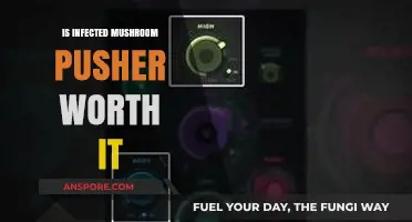 Is Infected Mushroom's Pusher Album Worth Your Time and Money?