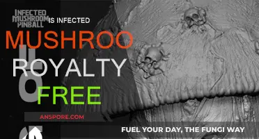 Infected Mushroom: Free to Use?