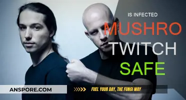 Infected Mushroom Twitch: Safe or Not?