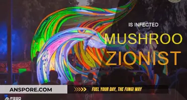 Infected Mushroom's Zionist Allegations: Exploring the Band's Political Views
